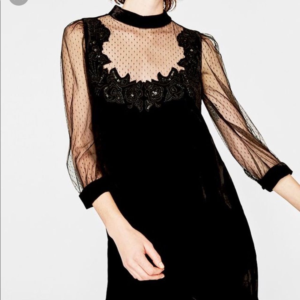 Zara Contrast Black Velvet Dress